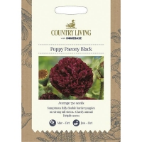 Homebase  Country Living Poppy Paeony Black Seeds