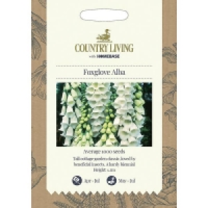 Country Living Foxglove Alba Seeds
