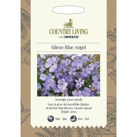 Homebase  Country Living Silene Blue Angel Seeds