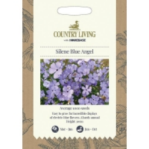 Country Living Silene Blue Angel Seeds
