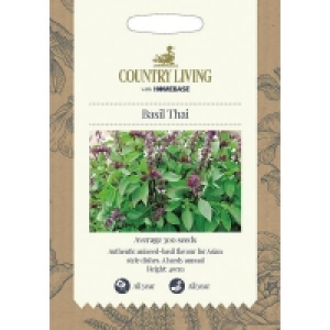 Homebase  Country Living Basil Thai Seeds