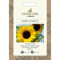 Homebase  Country Living Sunflower Soleo F1 Seeds