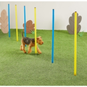 Aldi  Slalom Poles Agility Set