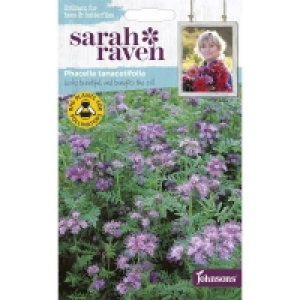 Sarah Ravens Phacelia Tanacetifolla Seeds