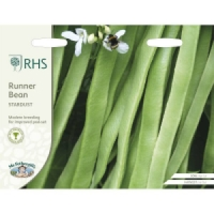 RHS Runner Bean Stardust