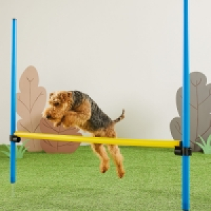 Pet Collection Hurdle Agility Set