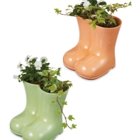Aldi  Flowering Welly Boots