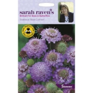 Homebase  Sarah Ravens Scabious Blue Cushion Seeds