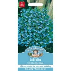 Mr. Fothergills Lobelia Cambridge Blue Seeds