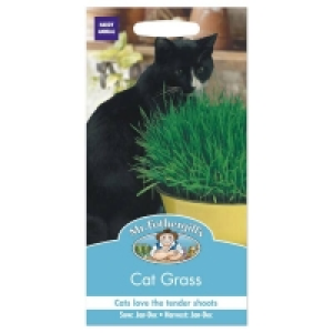Mr. Fothergills Cat Grass Avena Sativa Seeds