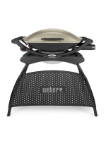 LittleWoods Weber Q 2000 Gas Barbeque with Stand - Titanium