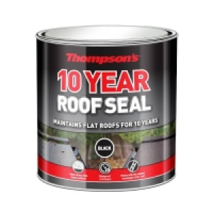 Thompsons 10 Year Roof Seal - Black - 2.5L