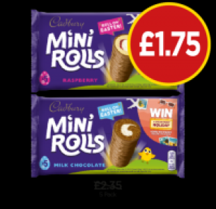 Budgens  Cadbury Mini Rolls Raspberry, Milk Chocolate