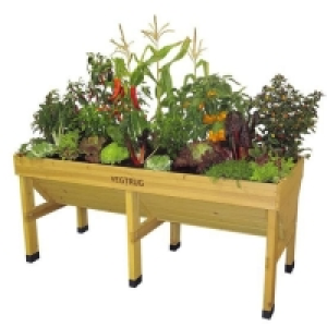 RobertDyas  VegTrug Medium Classic Raised Planter