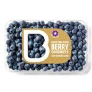 BerryWorld Blueberries £4.31