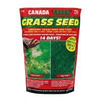 QDStores  Canada Green Grass Seed 1Kg 47 Square Metres Coverage