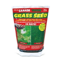 QDStores  Canada Green Grass Seed 500g 23 Square Metres Coverage