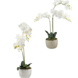 Large Faux Orchid Indoor Plant