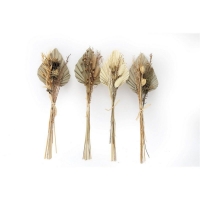 QDStores  Set of Four Bouquets of Dried Grasses with Palm Spear
