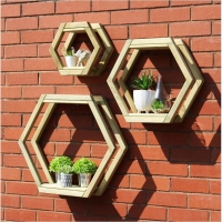 QDStores  Honeycomb Garden Shelf Set by Zest