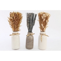 QDStores  Set Of Three Dried Deco In Vases