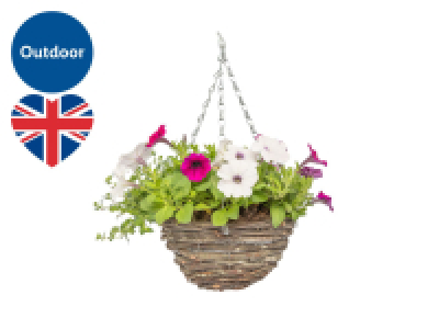 Rattan Hanging Basket