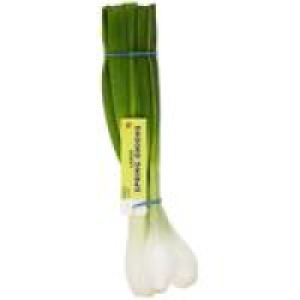 Ocado  M&S Large Salad Onions