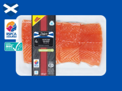 Deluxe 4 Scottish Salmon Fillets