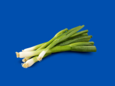 Spring Onions