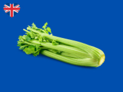 Celery