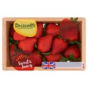 Driscolls Strawberry