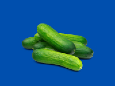 Funsize Cucumbears