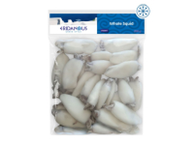 Eridanous Whole Squid