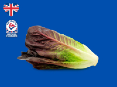 Lidl  British Ruby Romaine Hearts
