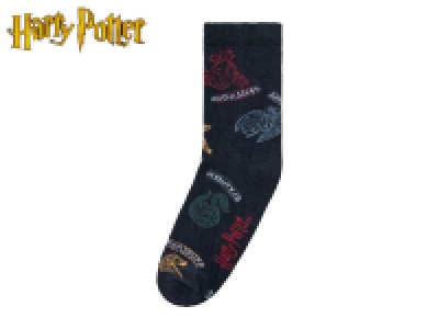 Kids Harry Potter Socks - 2 Pairs