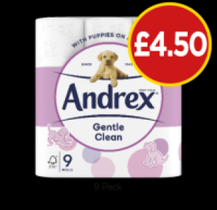 Andrex Gentle Clean £4.50