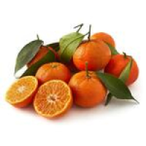 Natoora Leafy Clementines