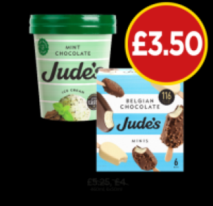 Judes Mint Chocolate, Belgian Chocolate Minis