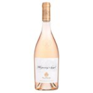 Whispering Angel Provence Rose