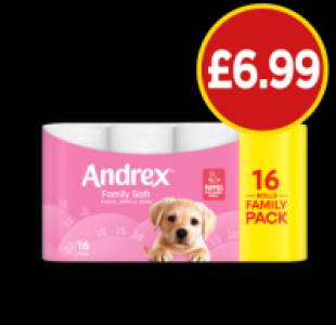 Budgens  Andrex Family Soft