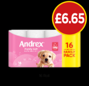 Budgens  Andrex Family Soft