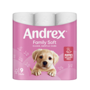 ANDREX FAMILY SOFT