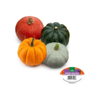 Morrisons Mixed Squash 12 - 16cm (Colours may vary)