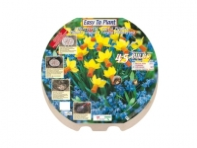 Flowering Bulb Planting Tray
