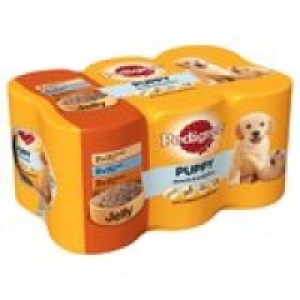 Pedigree Puppy in Jelly