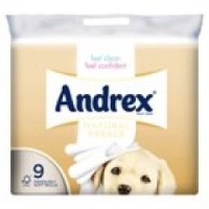 Andrex Natural Pebble Toilet Tissue