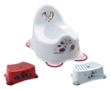 Disney Step Stool/Potty