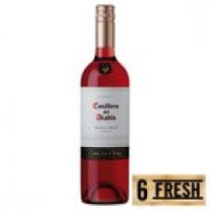 Casillero Del Diablo Shiraz Rosé