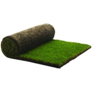 Rolawn Medallion Grass Turf Roll 1m2