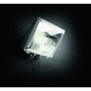 Philips 23W Durban Floodlight &pound;27.99